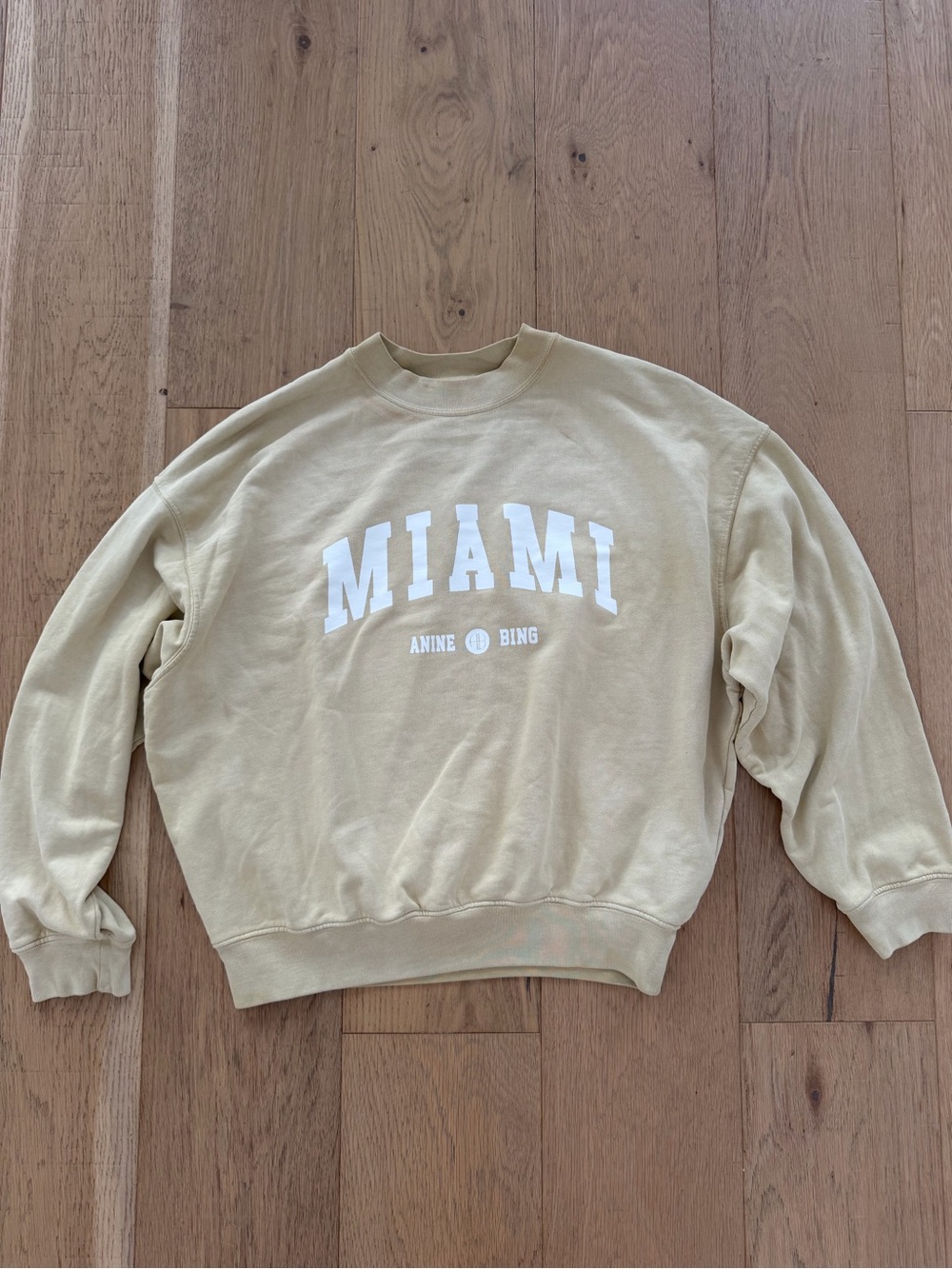 Anine Bing Miami Crewneck Sweater in Beige